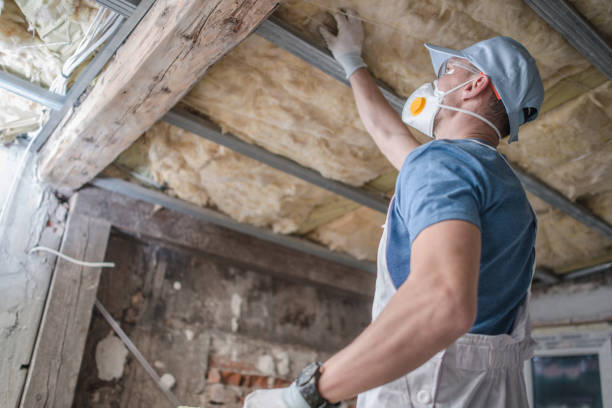 Best Commercial Insulation in Snowflake, AZ
