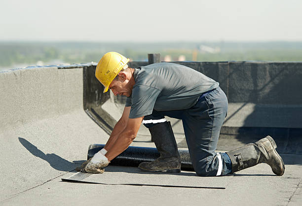 Best Eco-Friendly Insulation in Snowflake, AZ