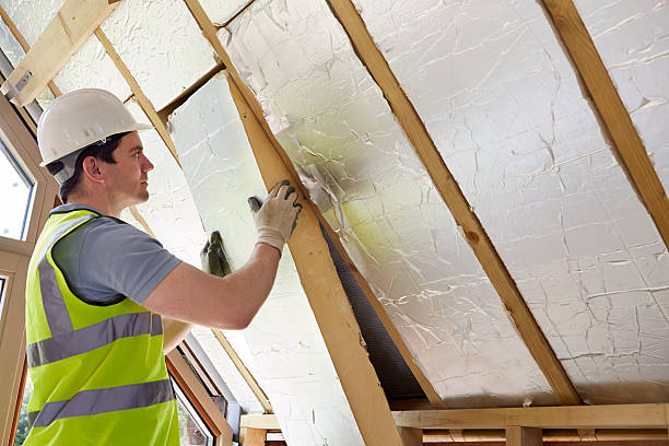 Best Spray Foam Insulation in Snowflake, AZ