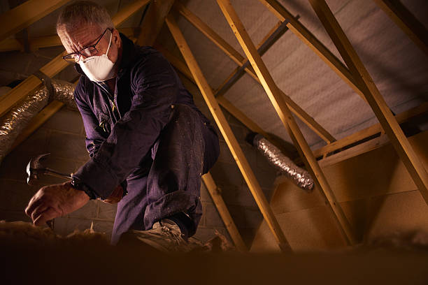 Best Residential Insulation in Snowflake, AZ